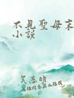 不见圣母末世的小说