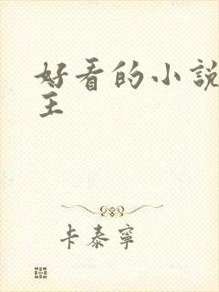 好看的小说双男主