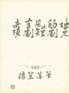 去有风的地方电视剧短剧免费观看