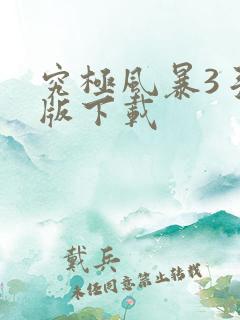 究极风暴3手机版下载