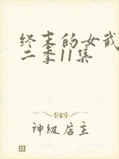 终末的女武神第二季11集