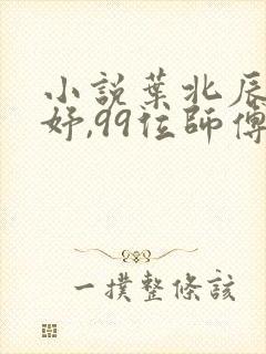 小说叶北辰周若妤,99位师傅