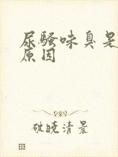 尿骚味臭是什么原因