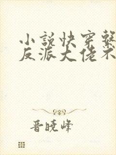 小说快穿系统:反派大佬不好惹