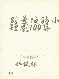 别惹他的小可怜短剧100集