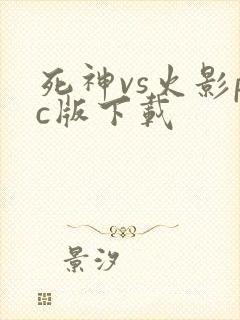 死神vs火影pc版下载