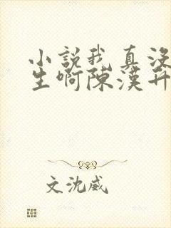 小说我真没想重生啊陈汉升