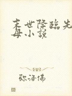 末世降临先杀圣母小说