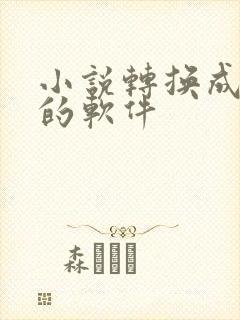 小说转换成动漫的软件