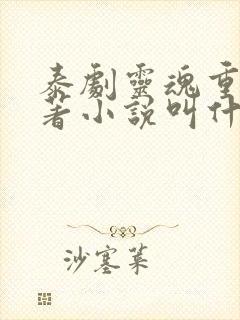 泰剧灵魂重生原著小说叫什么名字