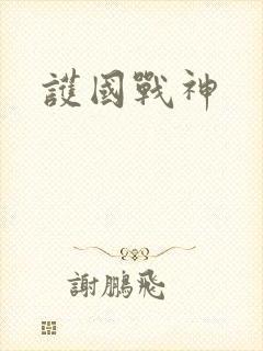 护国战神