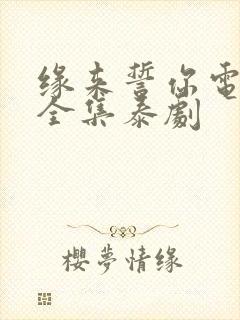 缘来誓你电视剧全集泰剧