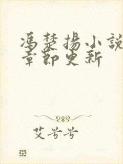 冯楚扬小说最新章节更新