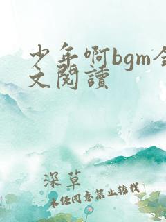 少年啊bgm全文阅读