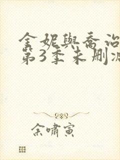 金妮与乔治娅 第3季未删减