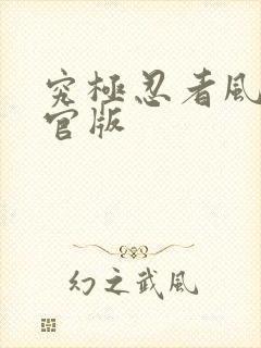 究极忍者风暴4官版