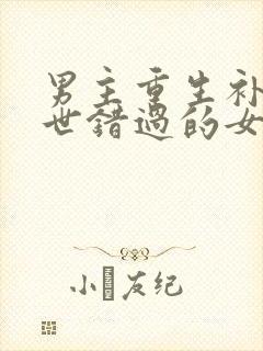 男主重生补偿前世错过的女主