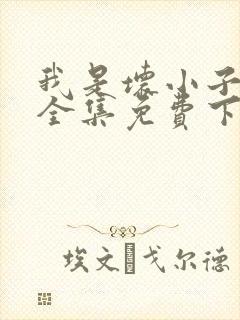 我是坏小子漫画全集免费下拉式漫画