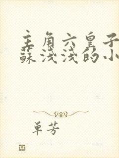 主角六皇子赵懿苏浅浅的小说