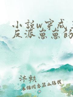 小说w穿成三个反派崽崽的后娘》