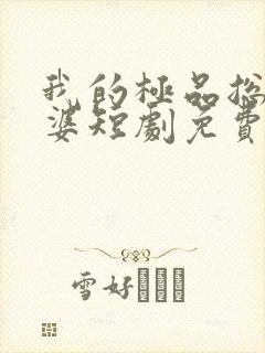 我的极品总裁老婆短剧免费完整版