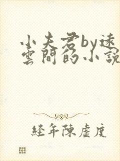 小夫君by远上云间的小说免费阅读最新