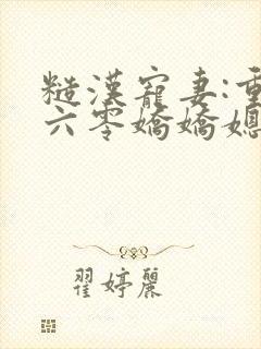 糙汉宠妻:重生六零娇娇媳