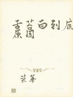 舌苔白到底什么原因