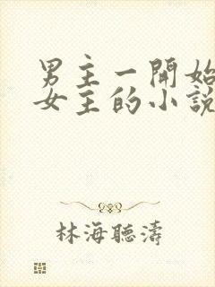 男主一开始讨厌女主的小说