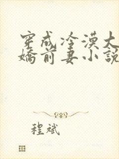 穿成冷漠大佬的娇前妻小说