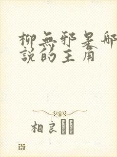 柳无邪是哪本小说的主角