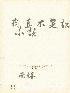 我真不是故意的 小说