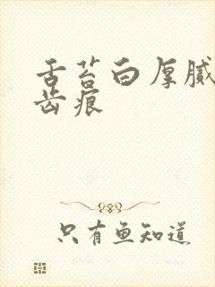 舌苔白厚腻 有齿痕