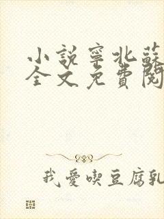 小说宁北苏清荷全文免费阅读