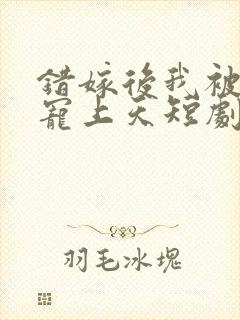 错嫁后我被陆少宠上天短剧