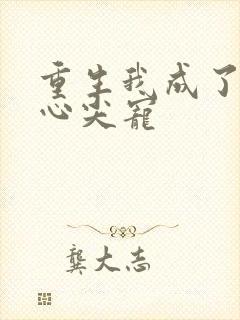 重生我成了前夫心尖宠