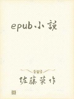 epub小说