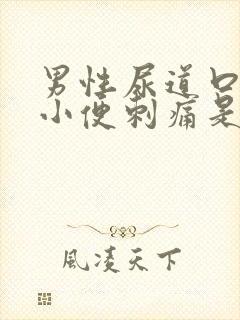 男性尿道口流脓小便刺痛是什么病