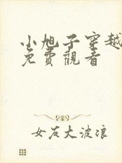 小旭子穿越短剧免费观看