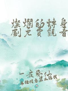 灿烂的转身电视剧免费观看全集