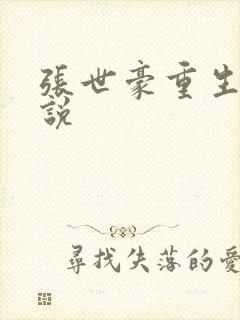 张世豪重生记小说