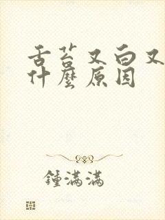 舌苔又白又黄是什么原因