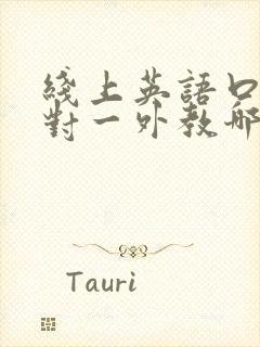 线上英语口语一对一外教哪个好