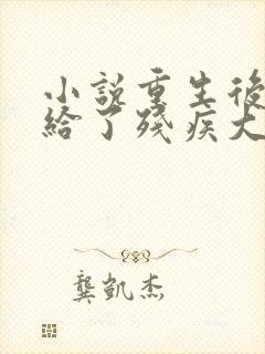 小说重生后我嫁给了残疾大佬免费