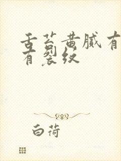 舌苔黄腻有齿痕有裂纹