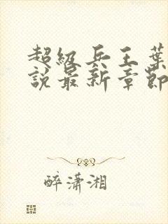 超级兵王叶谦小说最新章节