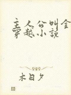 主人公叫金峰的穿越小说