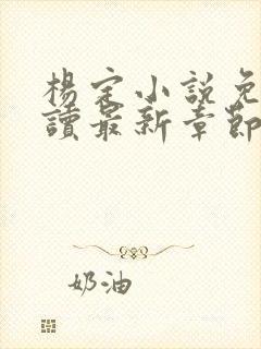 杨定小说免费阅读最新章节更新时间