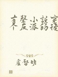 有声小说穿成五个反派的后娘