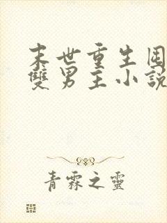 末世重生囤货的双男主小说